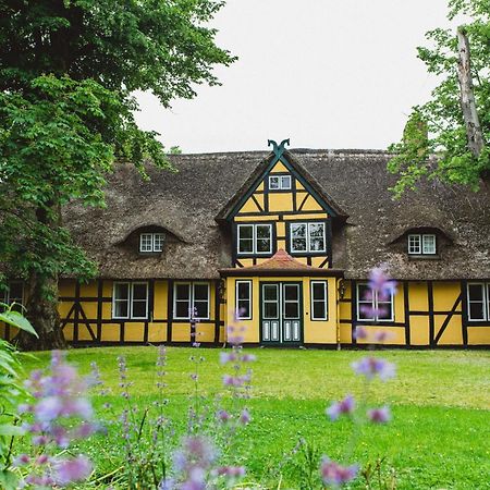 Herrenhaus Gut Dorotheenthal دامب المظهر الخارجي الصورة
